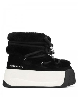 Black Naked Wolfe Darling Cow Suede Women's Platform Boots | RIYADH 196CPAVTL