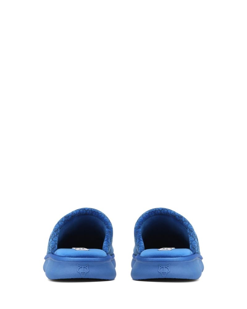 Blue Naked Wolfe Ohio Men's Slippers | RIYADH 290WBDHOC