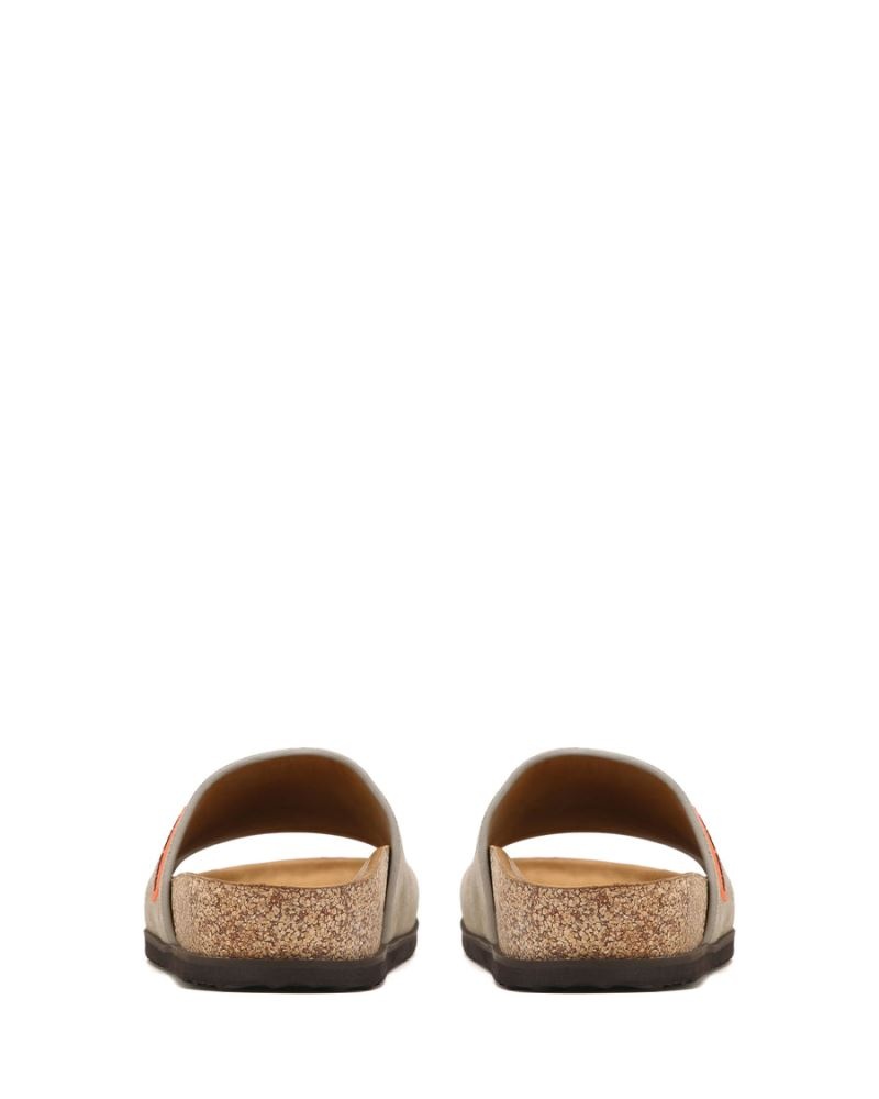 Grey Brown Naked Wolfe Moody Suede Men's Slides | RIYADH 364MWXTVD